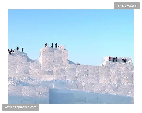 智利引进法国雪造技术应对安第斯山雪量逐年减少挑战 智利引进法国雪造技术应对安第斯山雪量逐年减少挑战